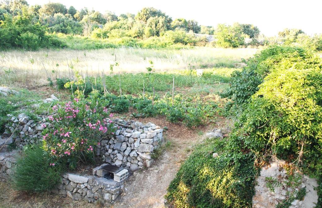 קרס Holiday Home Loznati מראה חיצוני תמונה